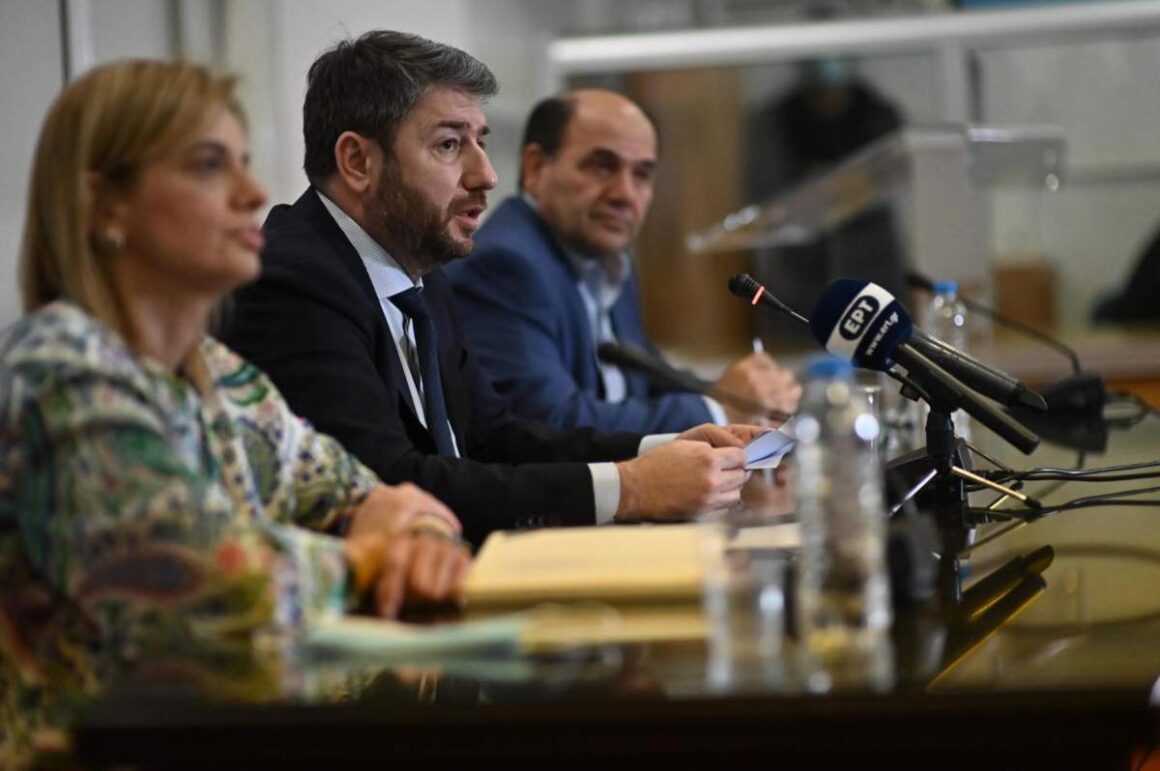 Ανδρουλάκης: Το ΠΑΣΟΚ δημιούργησε το ΕΣΥ και έχει χρέος να το αναγεννήσει