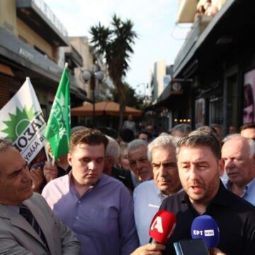 Ανδρουλάκης για πυρκαγιές: Οι ευθύνες είναι μεγάλες και πρέπει να αποδοθούν