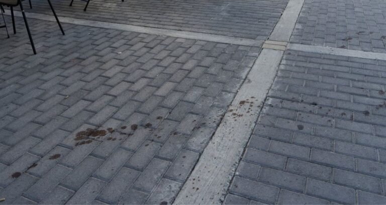 Νέα Φιλαδέλφεια - Επεισόδια