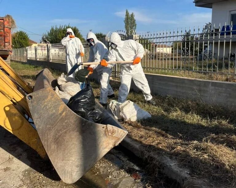 Στρατος ζωα