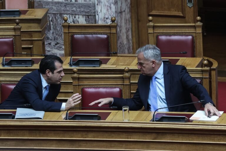 Πλεύρης Βορίδης