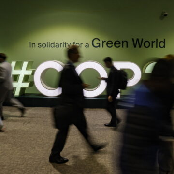 COP 29