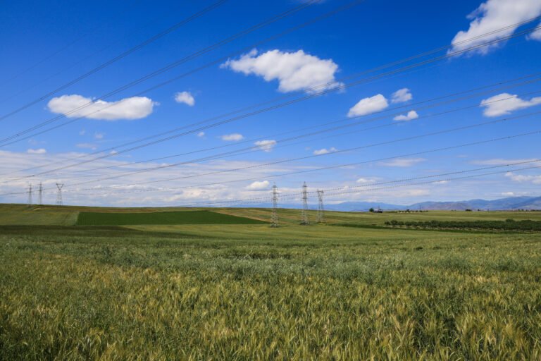 ΚΑΜΠΟΣ ΟΠΕΚΕΠΕ