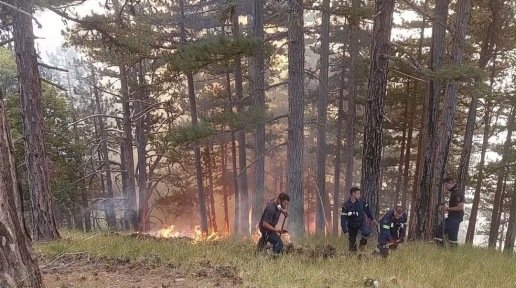 Φωτιά στην Κόνιτσα: Βελτιωμένη η εικόνα στο πύρινο μέτωπο – Μάχη δασοκομάντος και δασεργατών σε δύσβατο έδαφος