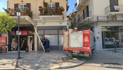 Ναύπλιο: Αίσιο τέλος στην επιχείρηση της Πυροσβεστικής για γάτα παγιδευμένη σε δέντρο επί τρεις ημέρες